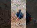 #experiment #facts #funny #nature #youtube  #status #mathura #selendra