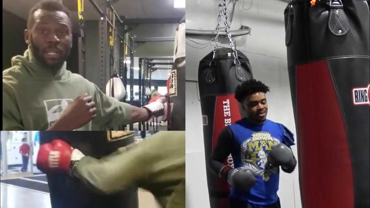 tyson fury egg weights