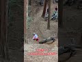 オフロード林道