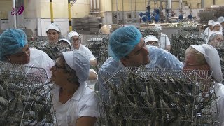 TVSH – Luísa Salgueiro dedicou o dia ao mar
