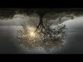 Let Me Go (Ritual Space Invocation | Cinematic Dark Ambient Electronic)