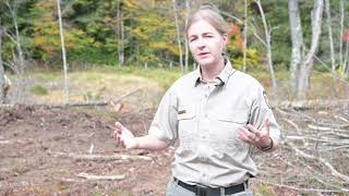 WVDNR highlights habitat and stream restoration project in Monongahela Forest