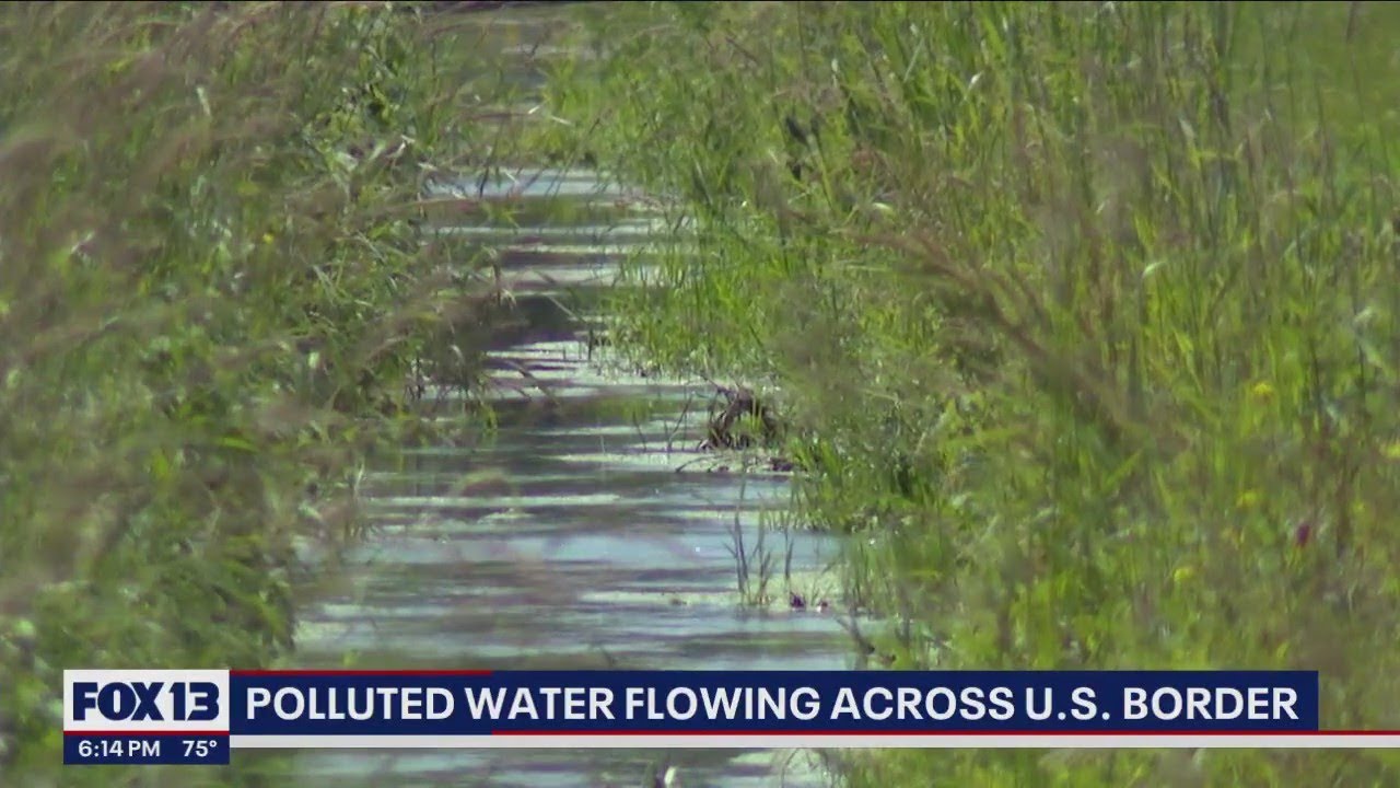 Farmers raise alarm over polluted water flowing in from Canada | FOX 13 Seattle