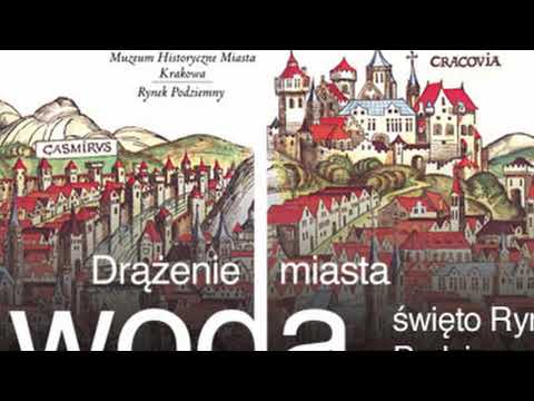 Wideo: Przeprowadzka właściciela porzuca psa na kanapie na zewnątrz