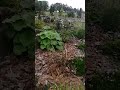 Rabata sezon I