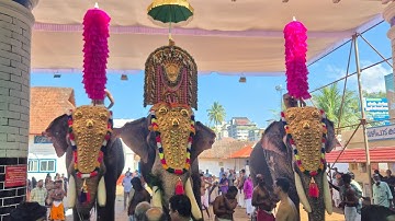 വൃശ്ചികോത്സവം 2025 -  ഭഗവാന്റെ തിടമ്പേറ്റി തിരുവമ്പാടി ചന്ദ്രശേഖരൻ I ചിറയ്ക്കൽ കാളിദാസൻ I സാധു I