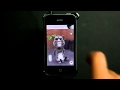 Talking TomCat IPhone App Review 