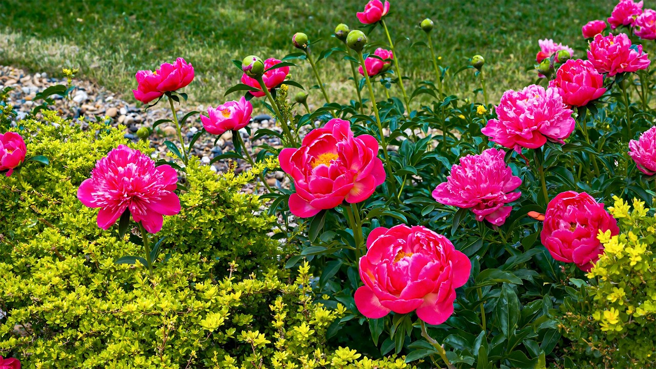 Послушайте эту песню 3 минуты, чтобы перестать слишком много думать, волноваться и испытывать стр...