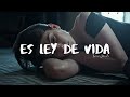 Es ley de vida - Irene Jotadé