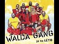 Walda Gang - Je tu léto