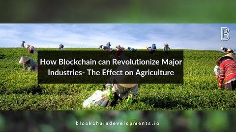 How Blockchain Can Revolutionize Major Industries- The Effect on Agriculture