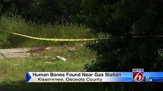 Human bones found near gas station