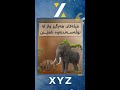 فیلەکان هەرگیز واز لە تۆڵەسەندنەوەکەیان ناهێنن فیلەکان هەرگیز واز لە تۆڵەسەندنەوەکەیان ناهێنن