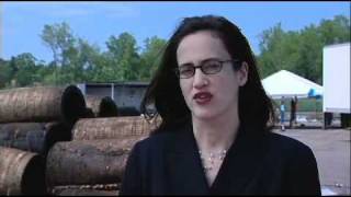 How brownfields are redeveloped:  a St. Paul case study