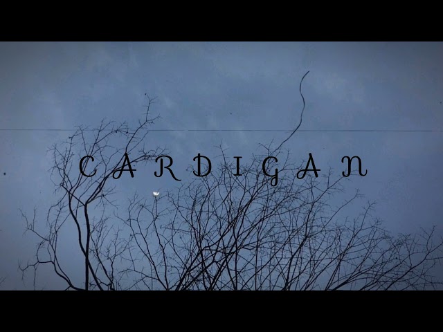 Cardigan - Taylor Swift ( Bast Part Loop ) Music 1 Hour class=