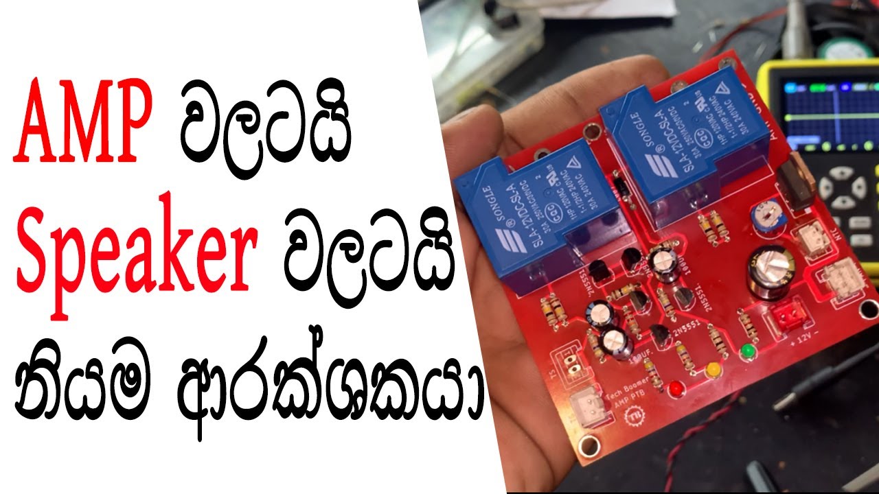 Speaker Protection Board