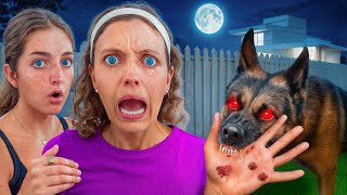 Rescue DOG ATTACKED ME! Do We Send Him Away? screenshot 5