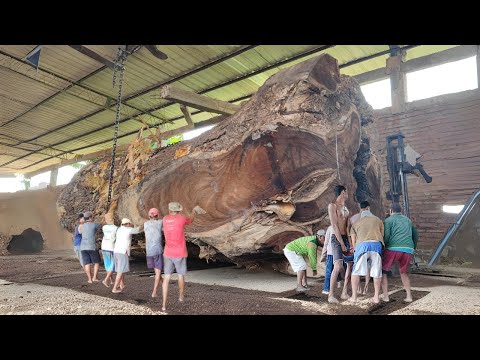 Everyone should watch this Fishermen