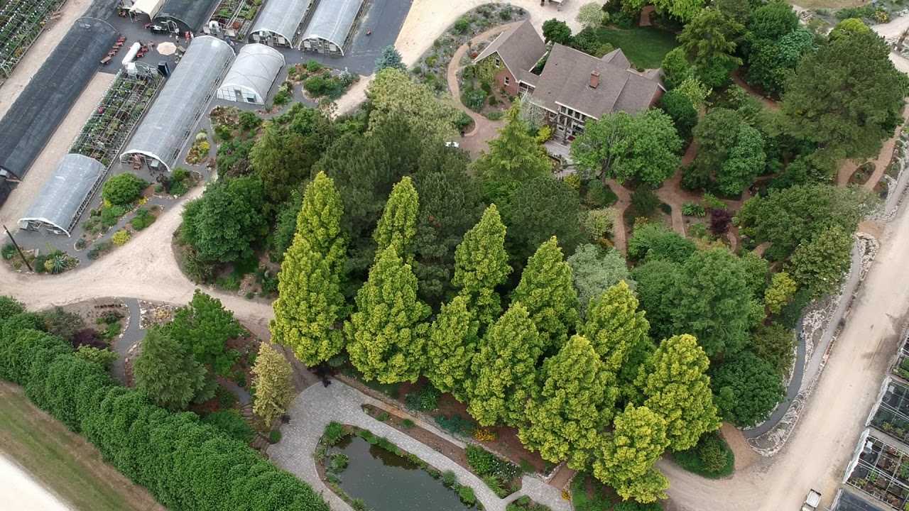 Plants delight nursery YouTube