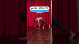 Animal Movements For The Win!