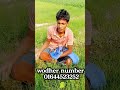 ভাতি পেঁয়াজের চারা যদি কারো প্রয়োজন হয় #sorts #everyone # ভাতি_পিয়াজ #কৃষি #কৃষকের #পিয়াজ #চারা
