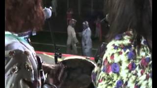 Köprünün Altında Dombey Danası(Bakır Havası) - Emel Örgün