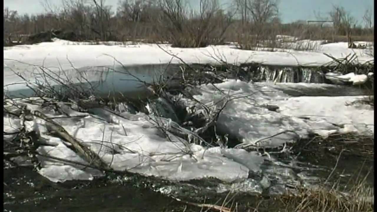 Montana Rocky Mountain Front - MontanaPictures.Net