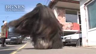 картинка: Кукерски костюм от Бургас е с най-дълъг косъм в страната