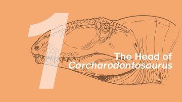 Gamba the Carcharodontosaurus 1: The Head | Learn to Draw Dinosaurs with ZHAO Chuang