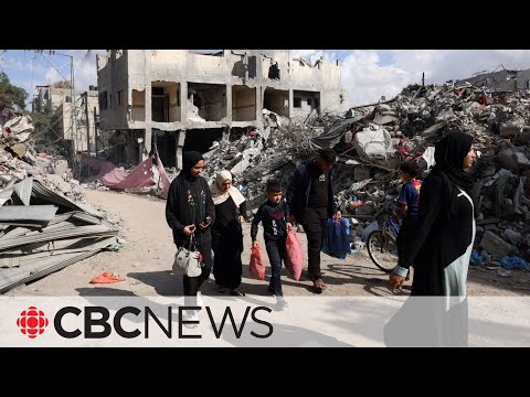 Who warns that more people could die in gaza from disease than bombings