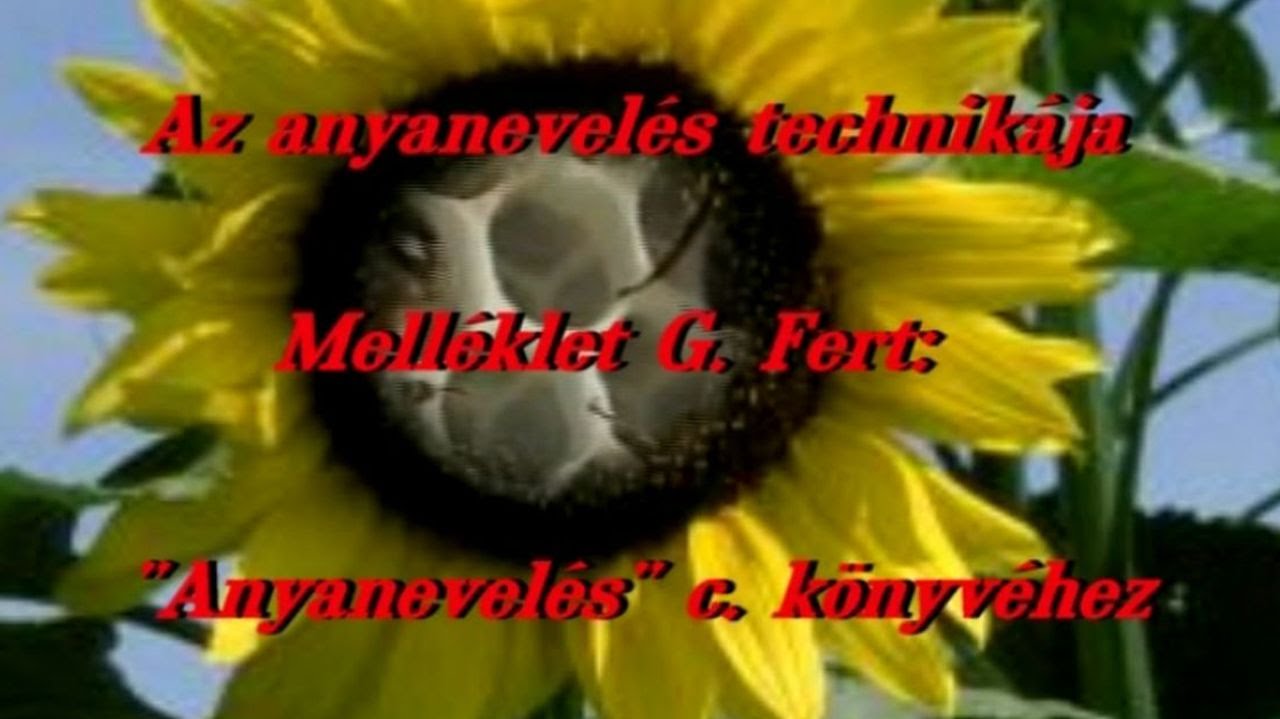 Az anyanevelés technikája