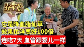 #养生堂 #中医 #健康 它是降血脂仙草效果比洋葱还好100倍连续吃7天血管跟婴儿一样清澈干净