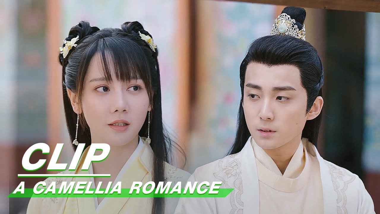 Clip: How Could I Want More With A Wife Like Xu? | A Camellia