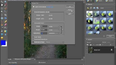 Photoshop Elements 7 Tutorial Video - Resizing Photos and Images