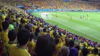 Gol do Brasil na Copa do Mundo 2014 - Brasil x Camarões 3x1