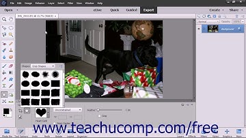 Photoshop Elements 15 Tutorial The Cookie Cutter Tool Adobe Training