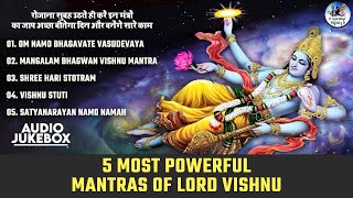 5 MOST POWERFUL MANTRAS OF LORD VISHNU FOR GOOD LUCK, SUCCESS || VISHNU STUTI || SHREE HARI STOTRAM