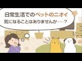 生きてる消臭剤バクテリン