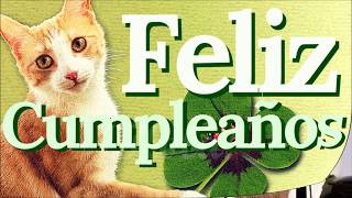 Feliz cumpleaños con gatos - ¡QUE PASES UN DÍA INCREÍBLE!