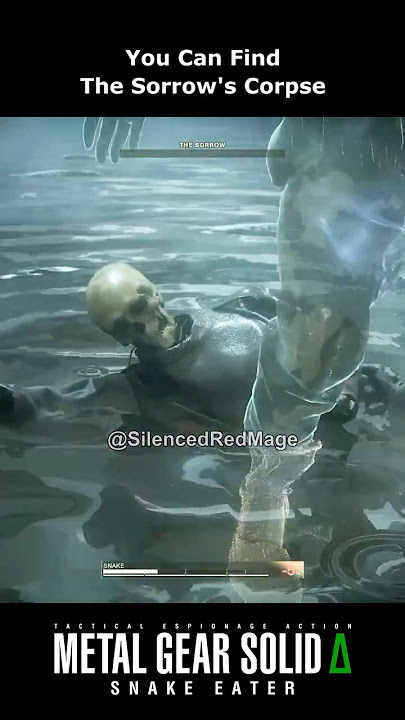 You Can Find The Sorrow's Corpse #metalgearsolid #mgs3