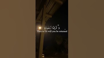 اكتب شئ تُؤجر عليه | سورة العنكبوت الاية 58:56 #عبدالرحمن_مسعد  #تلاوة_خاشعة #اكسبلور #تلاوة_هادئ