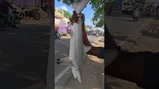 wanted cutting master . monthly salary 30000. Sunday holiday contact number.9363290122