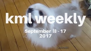 kml weekly meme compilation - #62