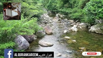 سورة يوسف - القارئ جواد ناصر - ليلة القدر سنة 2017 #القرآن #الراحة_النفسية