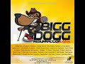 Empress cc  ka feelingbigg dogg resurraction riddim prodby mac regwi  genius