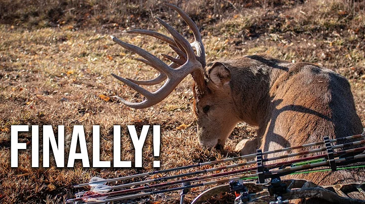 POST RUT BUCK - ILLINOIS LATE SEASON BOW HUNT