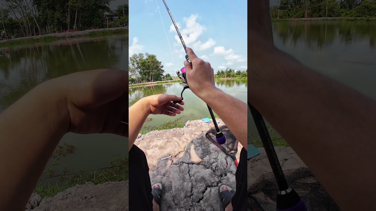 Mồi mềm chì chạy Với cá đuôi T và chì neo 2.7g #cauca #fishing #fishinglures 