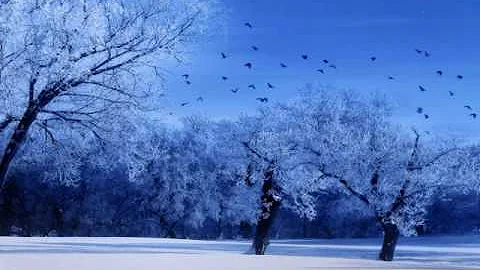 Relaxing Music by PIETRAS