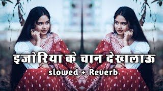 इजोरिया के चान देखलाऊ | ( #Slowed   Reverb ) Maithili Lofi | E Joriya K Chand Dekhalau | #Lofimusic 
