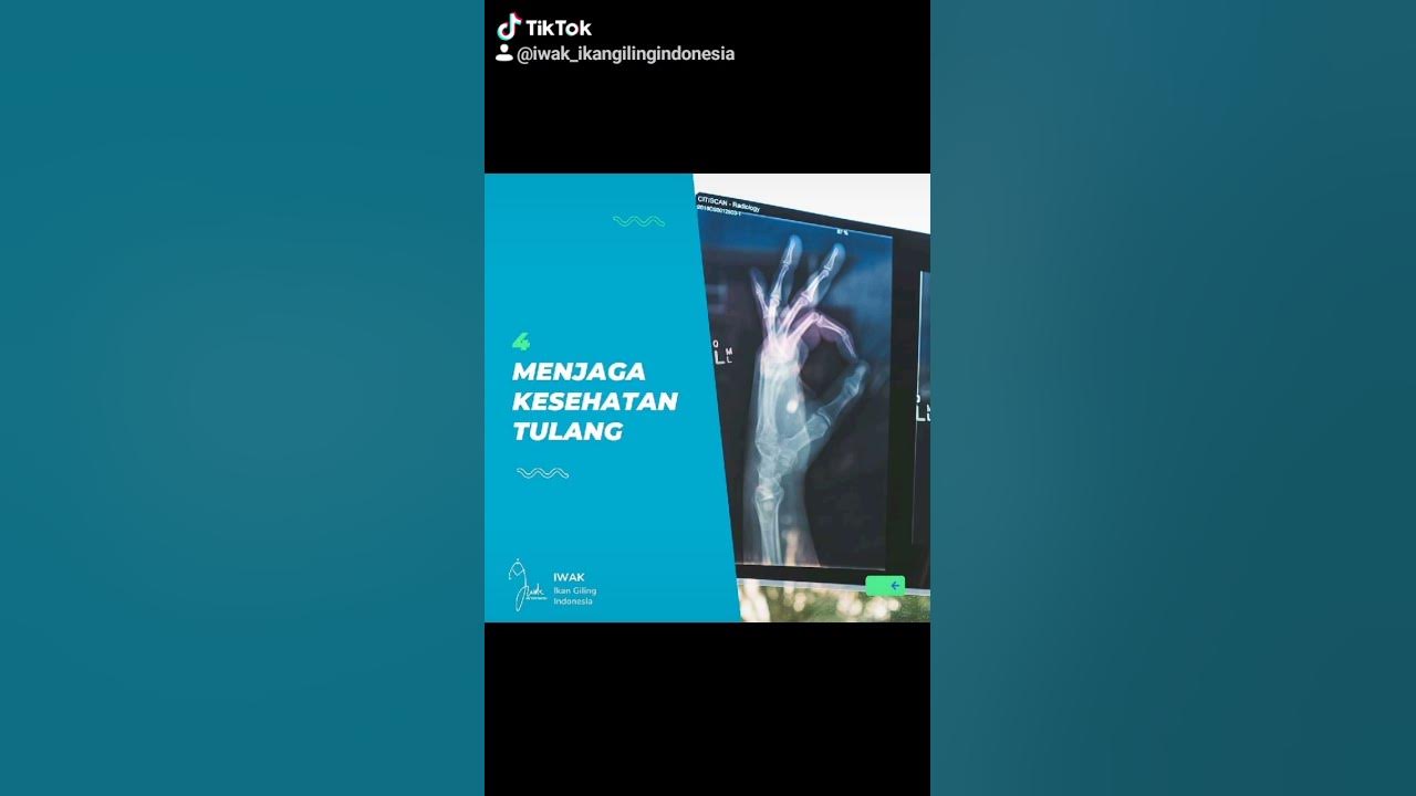 Manfaat Ikan Tenggiri IWAK Ikan Giling Indonesia